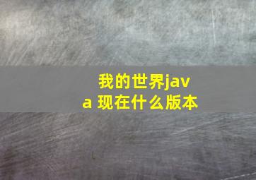 我的世界java 现在什么版本